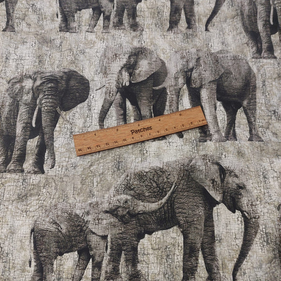 Grey Elephants