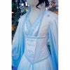 8971 Ladies Fantasy Costume